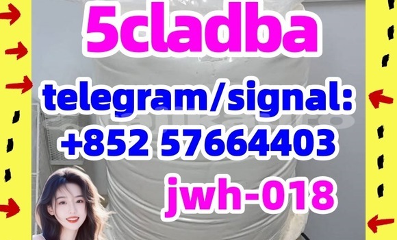 Medium with watermark 51