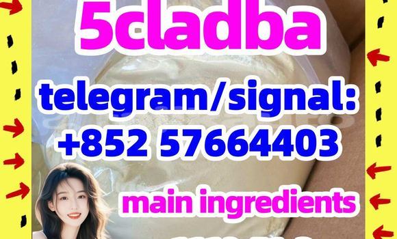 Medium with watermark 53