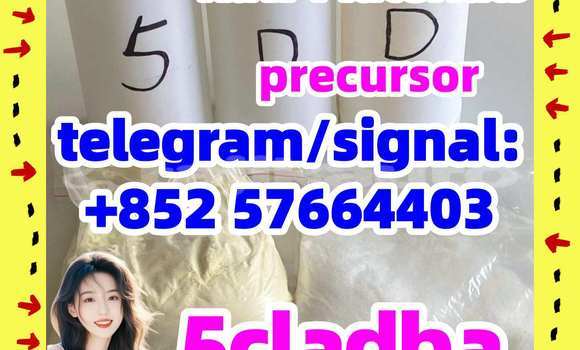 Medium with watermark 52