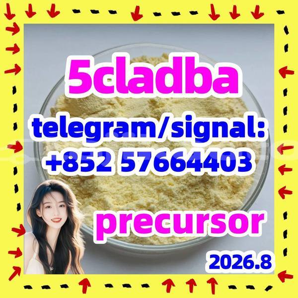 Big with watermark 54