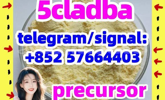 Medium with watermark 54