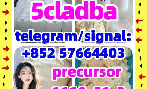 Medium with watermark 55