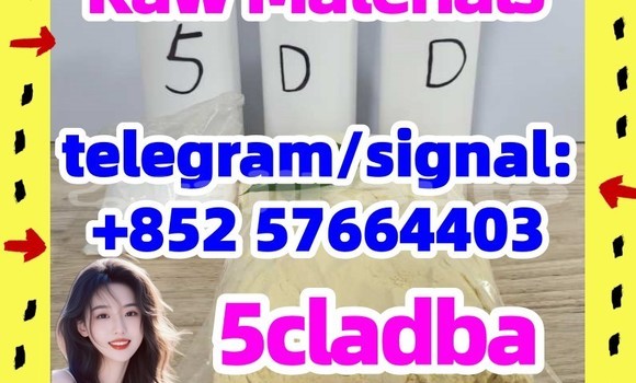 Medium with watermark 56