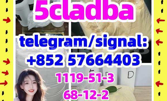 Medium with watermark 57