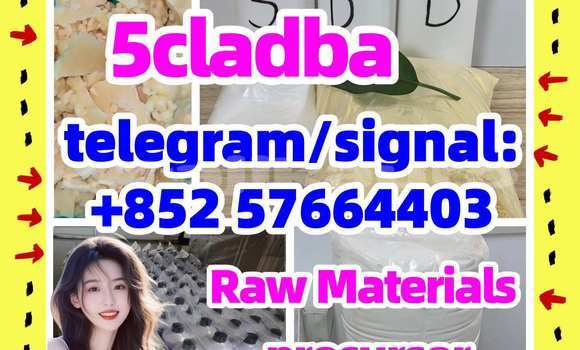 Medium with watermark 58