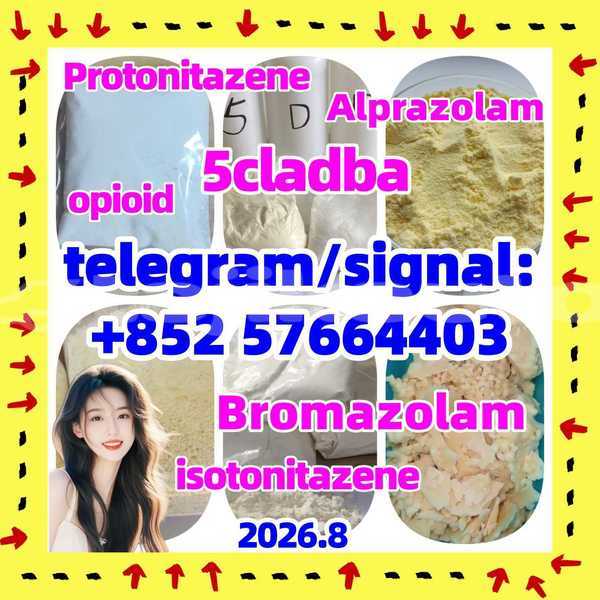 Big with watermark z1