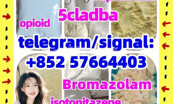 Medium with watermark z1