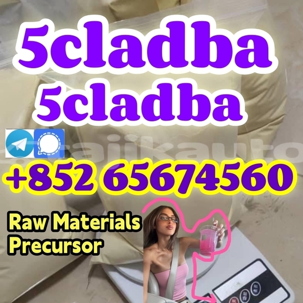 Big with watermark egefhrthtrhtyytyt