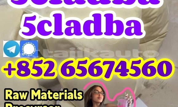 Medium with watermark egefhrthtrhtyytyt