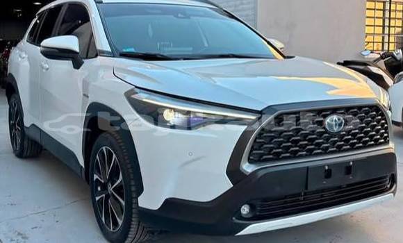 Buy Used Toyota Corolla Cross White Car in Buston in Sughd Buy Used Toyota Corolla Cross White Car in Buston in Sughd