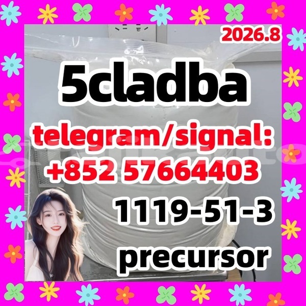 Big with watermark 51