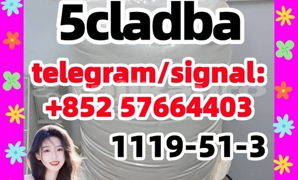 Medium with watermark 51
