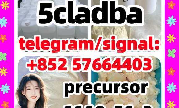 Medium with watermark 56