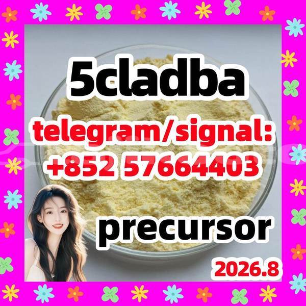 Big with watermark 53