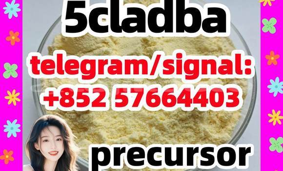 Medium with watermark 53