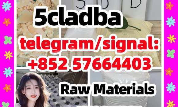Medium with watermark 58