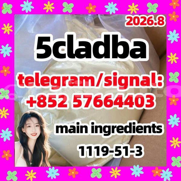 Big with watermark 55