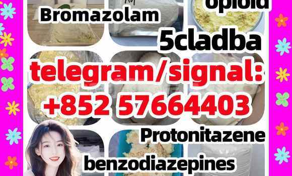 Medium with watermark z1