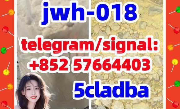 Medium with watermark 51