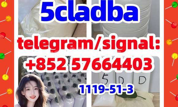 Medium with watermark 52