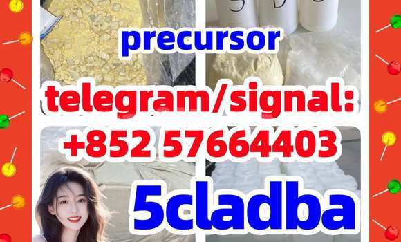 Medium with watermark 53
