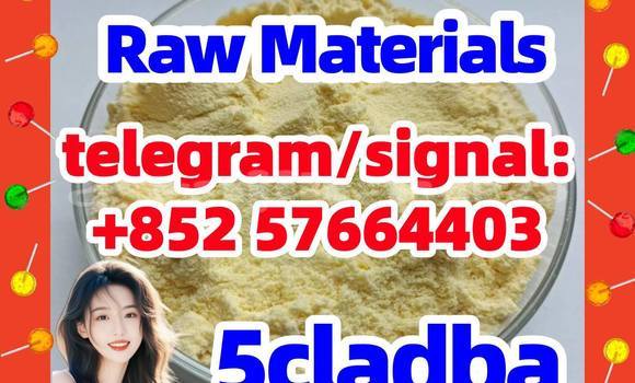 Medium with watermark 56