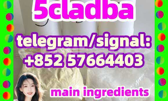 Medium with watermark 58
