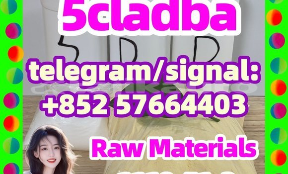 Medium with watermark 54
