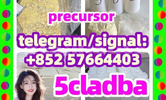 Medium with watermark 56