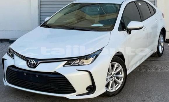 Buy Used Toyota Corolla White Car in Buston in Sughd