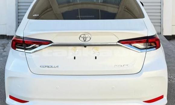 Buy Used Toyota Corolla White Car in Buston in Sughd Buy Used Toyota Corolla White Car in Buston in Sughd