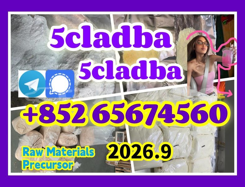 Big with watermark quanbu %e5%89%af%e6%9c%acdcbgdfhfg %e5%89%af%e6%9c%ac