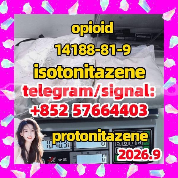 Big with watermark i1