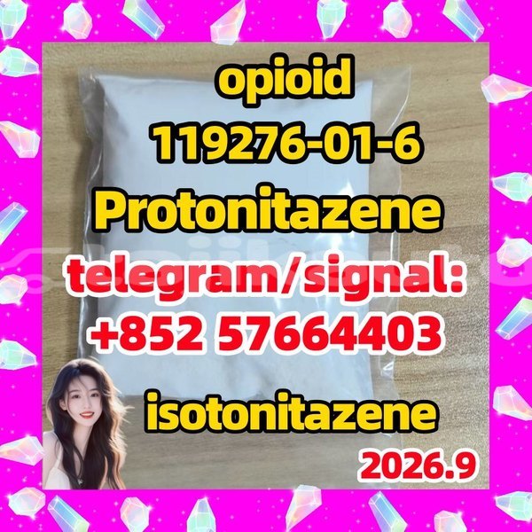 Big with watermark p1