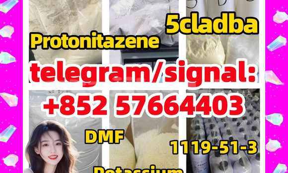 Medium with watermark z1