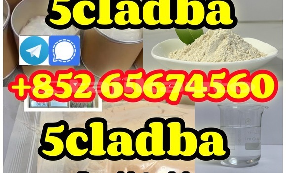 Medium with watermark edsagvserfgetghtrhb