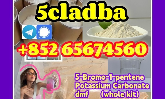 Medium with watermark qwfwefgergre %e5%89%af%e6%9c%ac