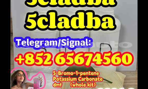 Medium with watermark asfvwegfergerger