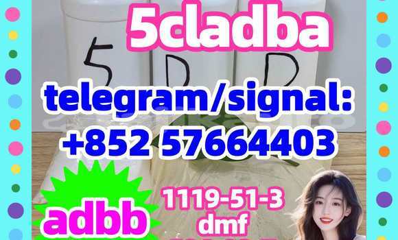 Medium with watermark 52