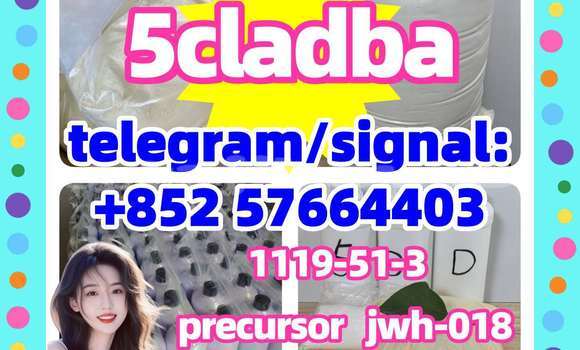 Medium with watermark 53