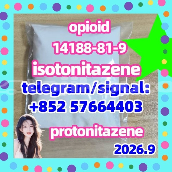 Big with watermark i1