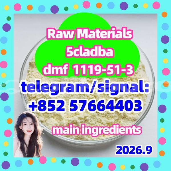Big with watermark 55