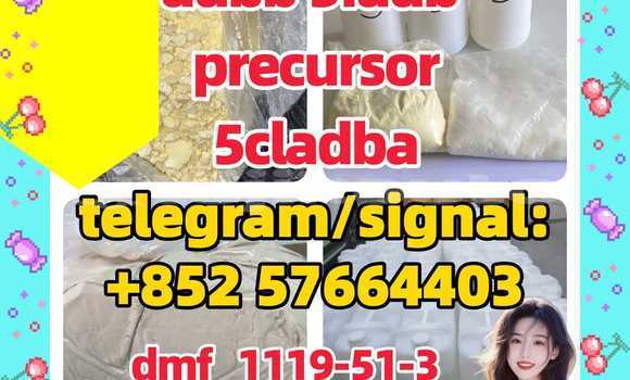 Medium with watermark 54