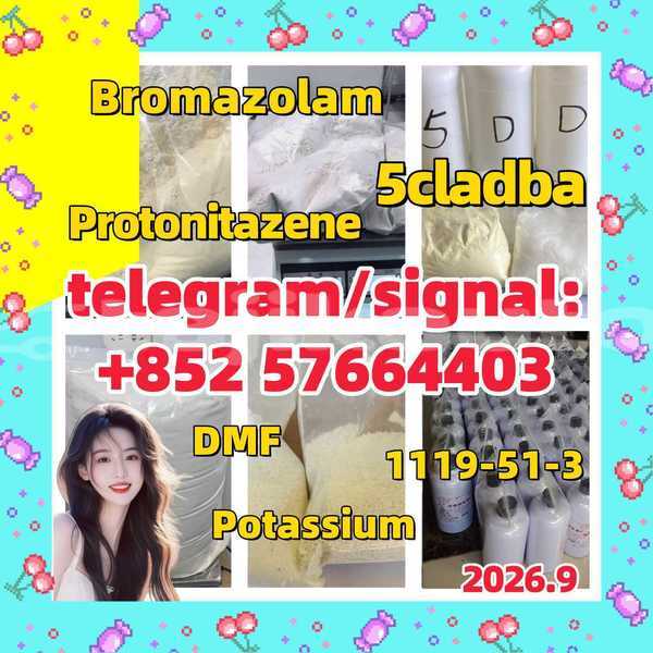 Big with watermark z1