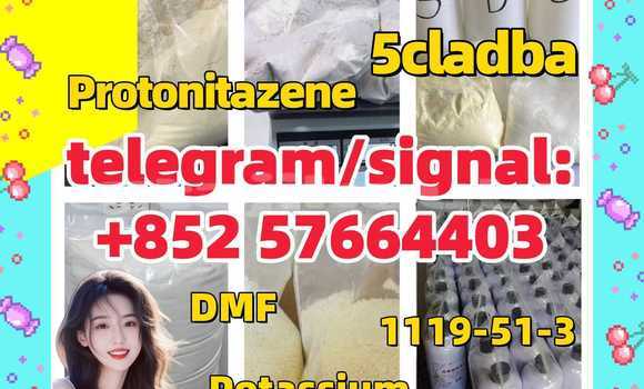 Medium with watermark z1