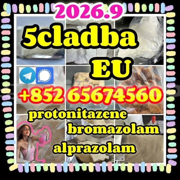 Big with watermark ewdgveargetrg