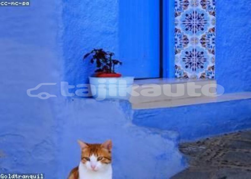 Big with watermark image