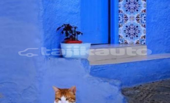 Medium with watermark image