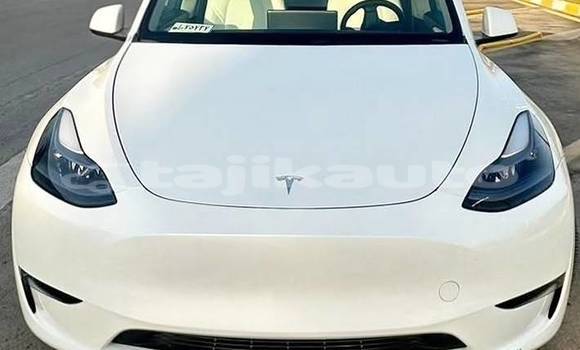 Buy Used Tesla Model X White Car in Buston in Sughd