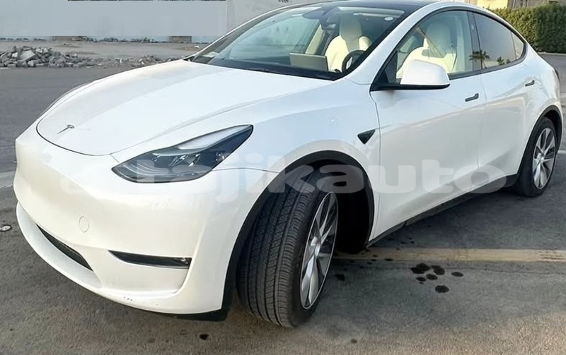 Big with watermark tesla model x sughd buston 37541